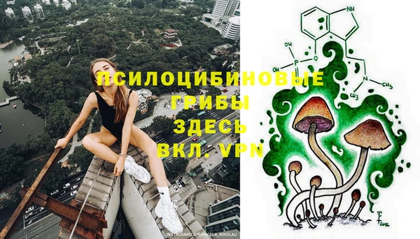 твердый Алексеевка