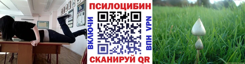 мега ссылка где купить наркоту Тосно Псилоцибиновые грибы ЛСД